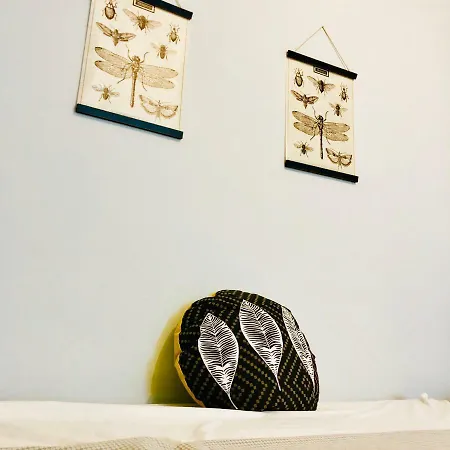 Golden Wave Surf Apartment